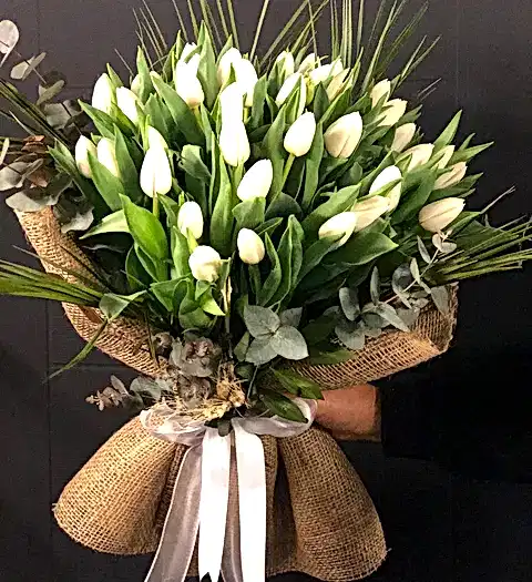 White Tulips Beyaz Lale