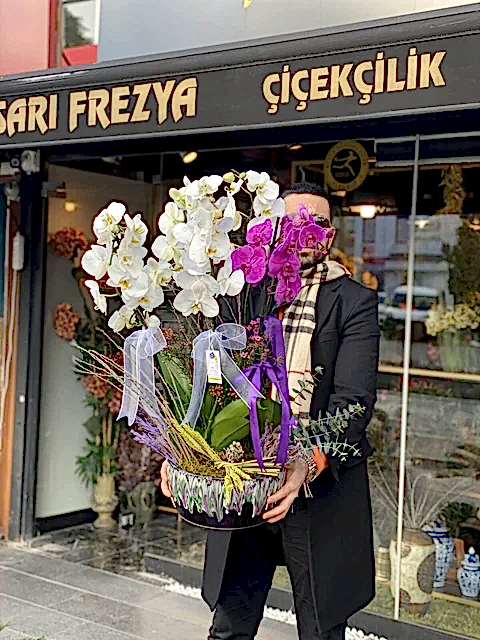 V.I.P Orchids 6 dallı