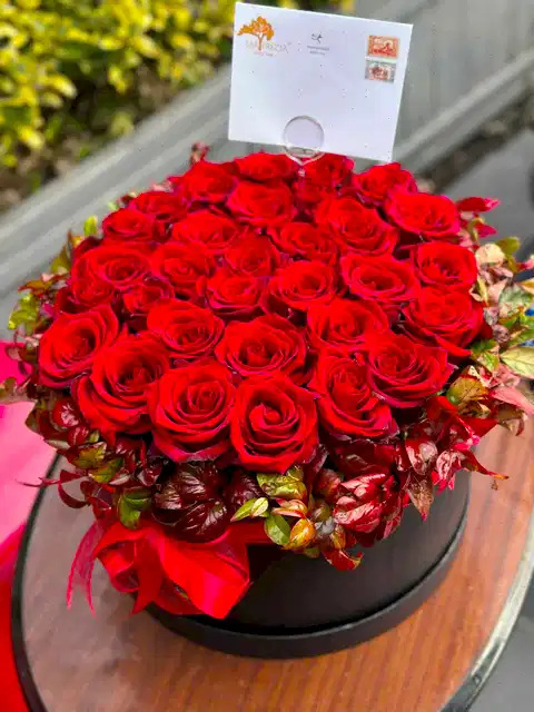 Box of Roses Ekvator