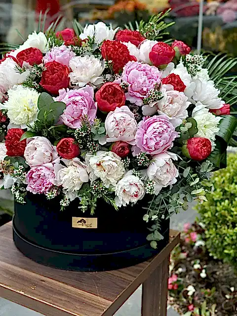 Dev Şakayık (Peonies)