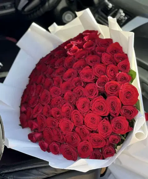 101 Red Rose