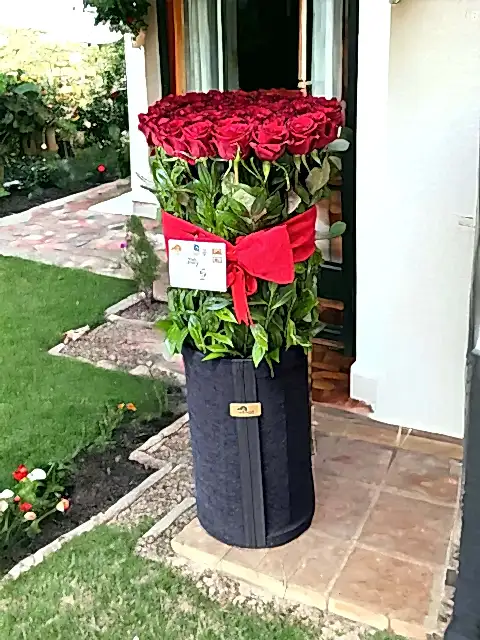 50 Roses Siyah Dev Kutuda